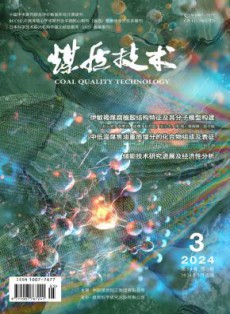 煤质技术
